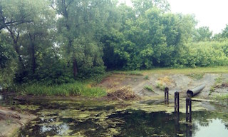 Экологические услуги от ПромМир-Урй в Урае - стоимость от 12505 руб.