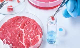 Лабораторный анализ пищевых продуктов по СанПиН в Урае в октябре